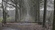 Oude Buijsche Heide (Achtmaal)