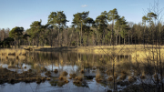 Halve Maan (Regte Heide/Riel)
