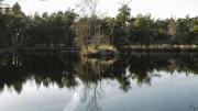 Halve Maan (Regte Heide/Riel)