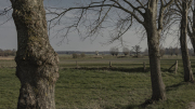natuurgebied De Matjes met uitkijktoren (Wernhout)