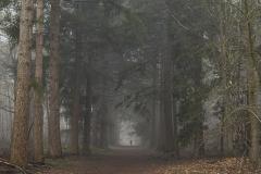 man in mist (Mastbos/Breda)
