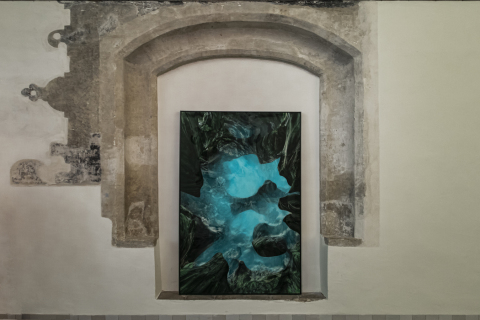 Habitat, Heleen Blanken  (Grote- of OLV Kerk/Breda) 2023